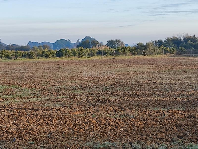 Foto db3e3d1f-4087-469e-b422-f2f60389abd2. Finca rústica vendo finca rústica próxima a (sevilla) en Utrera
