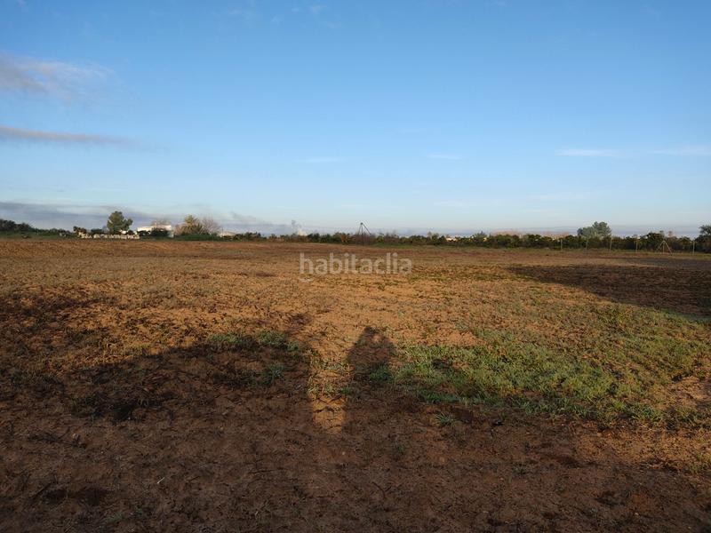 Foto e78be48f-6227-42c6-9014-9895a02a380d. Finca rústica vendo finca rústica próxima a (sevilla) en Utrera