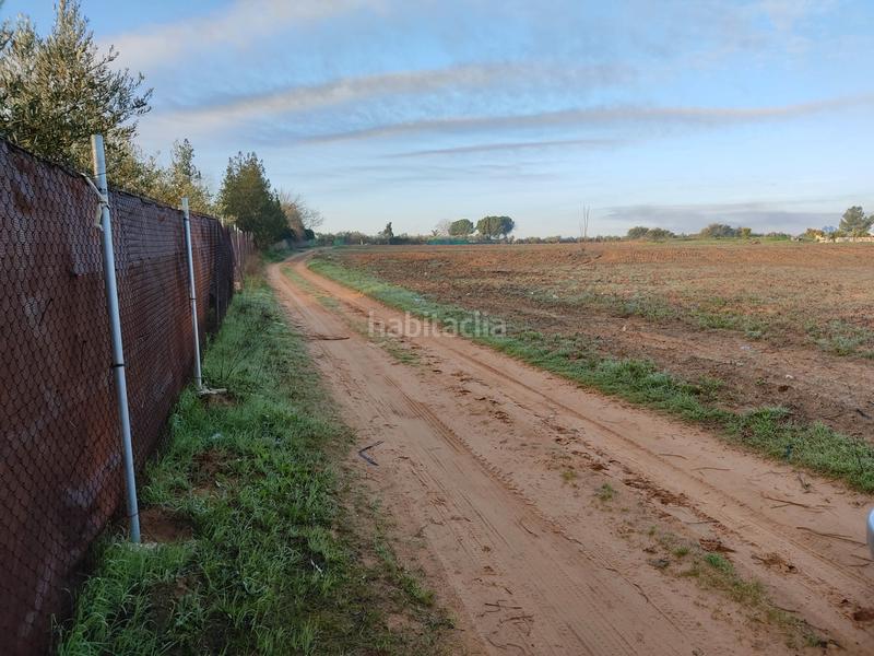 Foto eebceece-35d7-44c4-a204-9c05935a747e. Finca rústica vendo finca rústica próxima a (sevilla) en Utrera