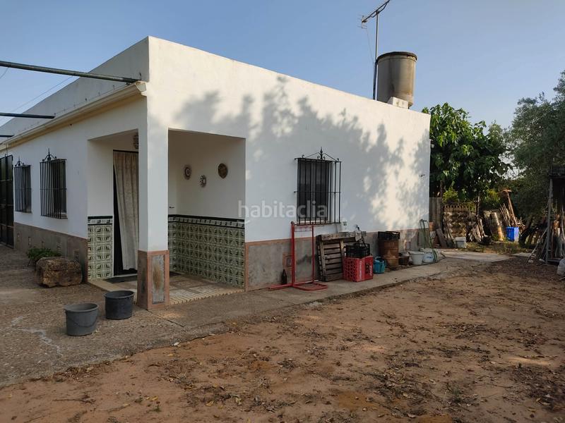 Foto 092aca4c-7920-4e81-935c-4328f327c5a2. Finca rústica vendo finca rústica con chalet próximo a en Utrera