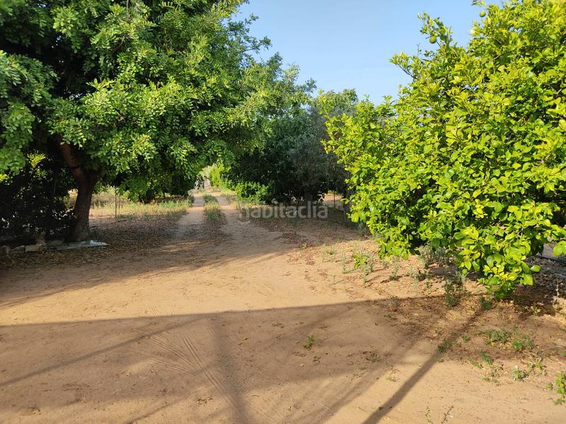 Foto 2c98a5b3-8c8a-446e-a3ac-5a6e9ca63302. Finca rústica vendo finca rústica con chalet próximo a en Utrera