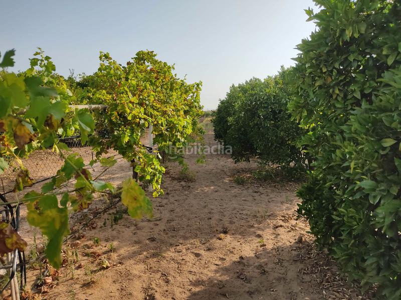 Foto 4c490e4a-41c4-432a-b359-160ad0524456. Finca rústica vendo finca rústica con chalet próximo a en Utrera