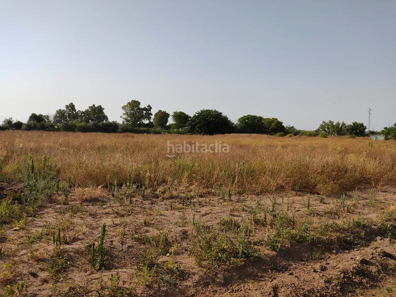 Foto 8f3afb77-f01e-4f31-9bc3-9cfa39bec099. Finca rústica vendo finca rústica con chalet próximo a en Utrera