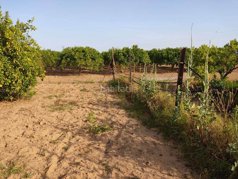 Foto 926732a0-122a-4c7e-9460-58eabb324f55. Finca rústica vendo finca rústica con chalet próximo a en Utrera