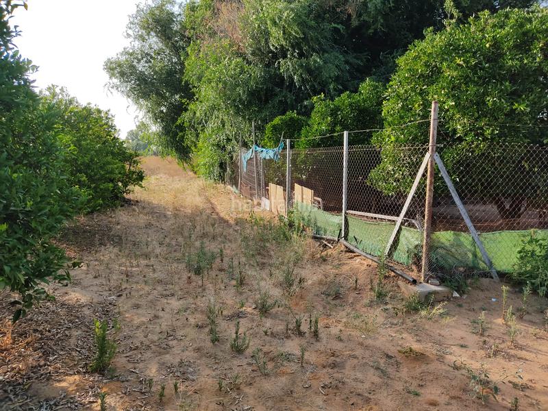 Foto 971c8d35-3a3f-43b1-a1d4-076852065e37. Finca rústica vendo finca rústica con chalet próximo a en Utrera