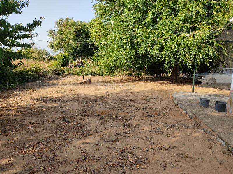 Foto c7f4ff34-5275-4725-bed0-34cc074e8c01. Finca rústica vendo finca rústica con chalet próximo a en Utrera