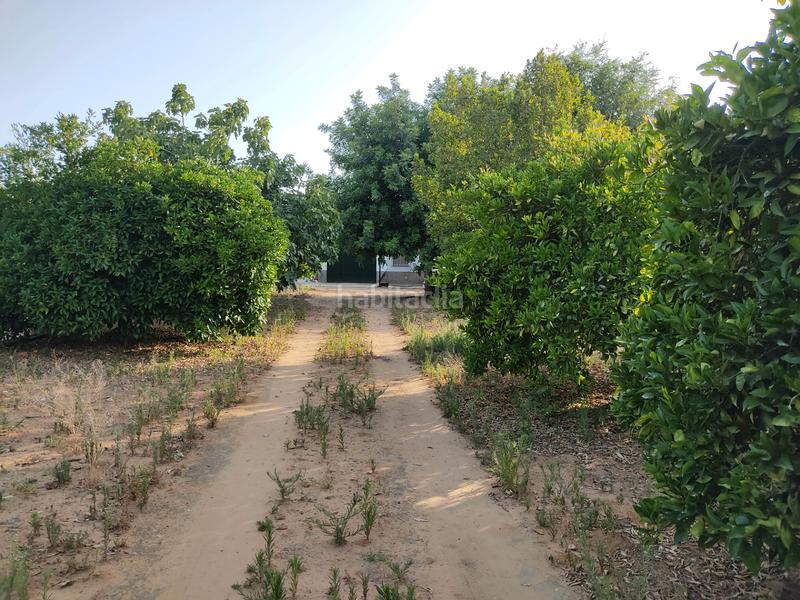 Foto d35271f9-fc1c-4279-b622-23ee80dc2a32. Finca rústica vendo finca rústica con chalet próximo a en Utrera