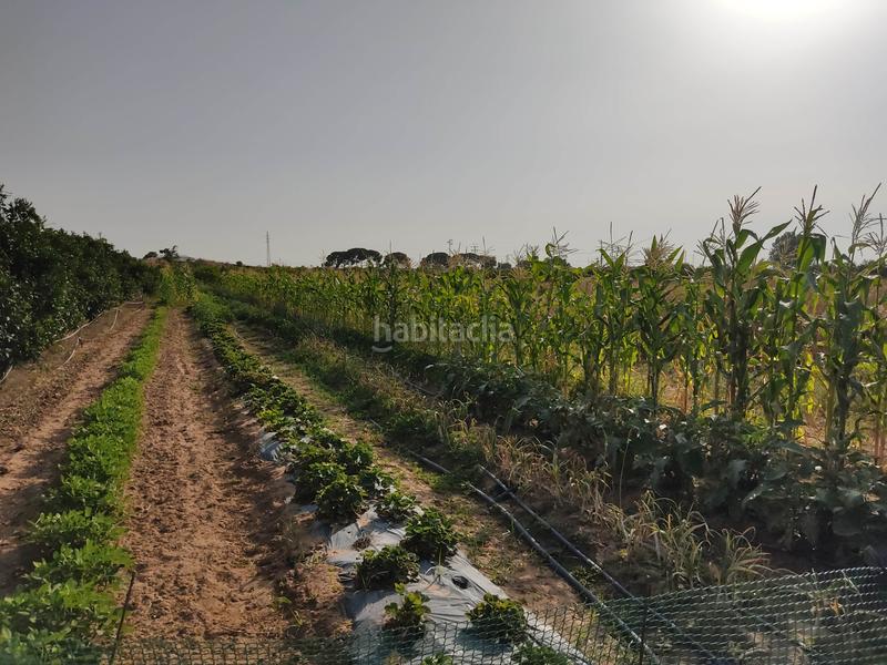 Foto d512fc2b-9764-41f8-a1d7-c5c2c5b22b1f. Finca rústica vendo finca rústica con chalet próximo a en Utrera