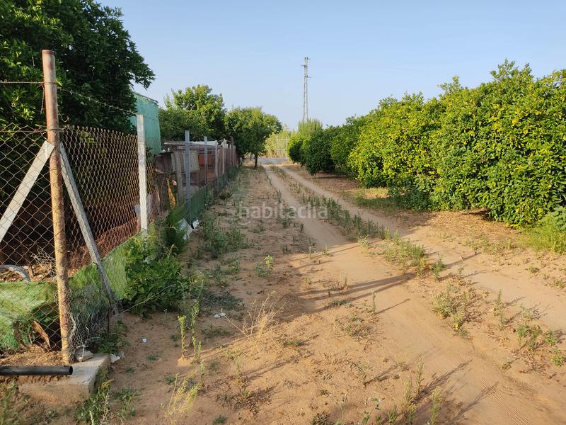 Foto ef222c98-ad3b-4508-b10a-a45a2457cb33. Finca rústica vendo finca rústica con chalet próximo a en Utrera