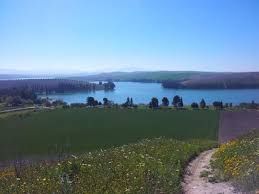 Rural plot in Palmar de Troya (El). Finca próxima al pantano torre del águila, palmar de troya