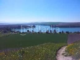 Foto 538a6229-c216-444a-b7e4-c4336f5511b6. Finca rústica a Palmar de Troya (El)