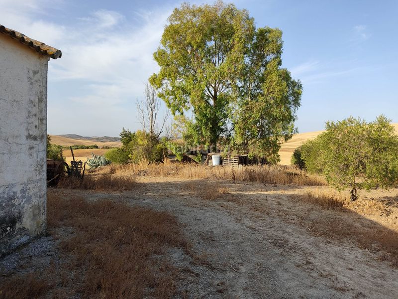 Foto c796e087-d379-40e0-a9fe-8eecc02bb9b8. Finca rústica a Pedanías Sur Utrera