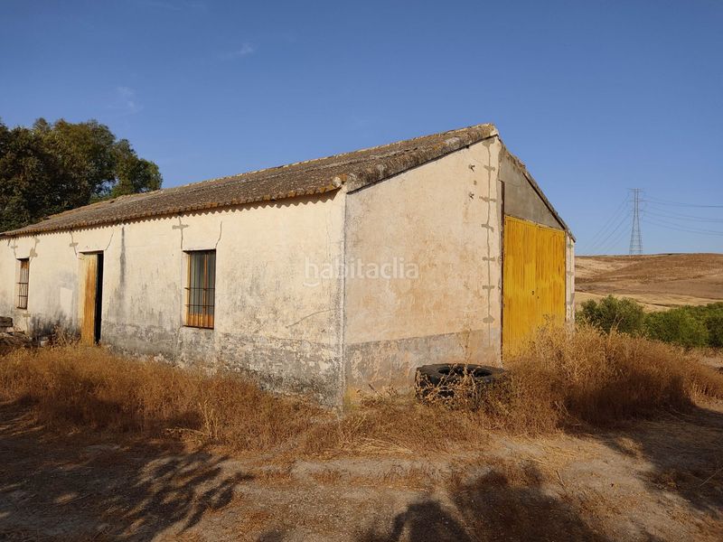 Foto caf5e45b-0f0c-44cc-a370-01fb74cb9b6b. Finca rústica a Pedanías Sur Utrera