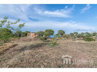 Masia a Finca el águila  1. Lepe campo