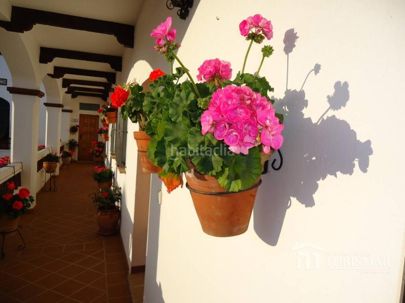 Foto bae9f1bc-cc5d-4ad3-be8f-728907b25fa7. Maison dans transversal arrecife 1 dans Ayamonte ciudad Ayamonte