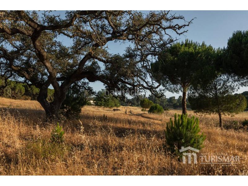 Foto 423a7429-bb5a-45e1-bf1a-e6d25b4b29cb. Landgut in rosalía de castro 1 in Costa Esuri Ayamonte