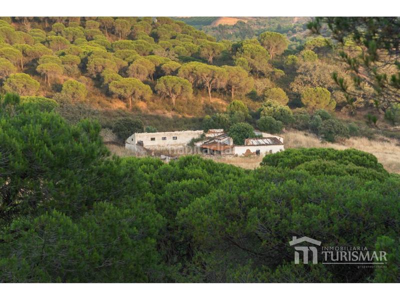 Foto 44531e41-5d71-411e-bde6-1e99a255c1ea. Landgut in rosalía de castro 1 in Costa Esuri Ayamonte