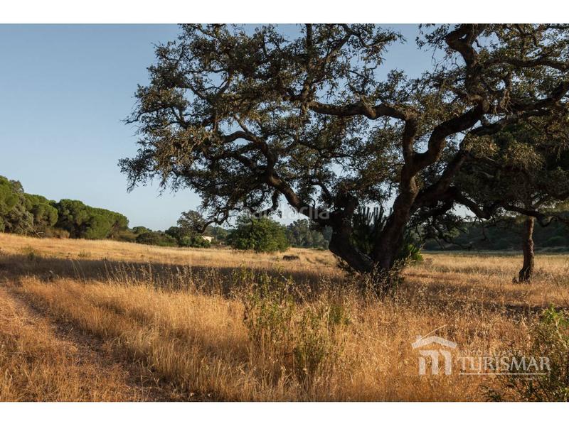 Foto 674720b1-1156-4b3d-8c4b-61abc5f33eb1. Landgut in rosalía de castro 1 in Costa Esuri Ayamonte