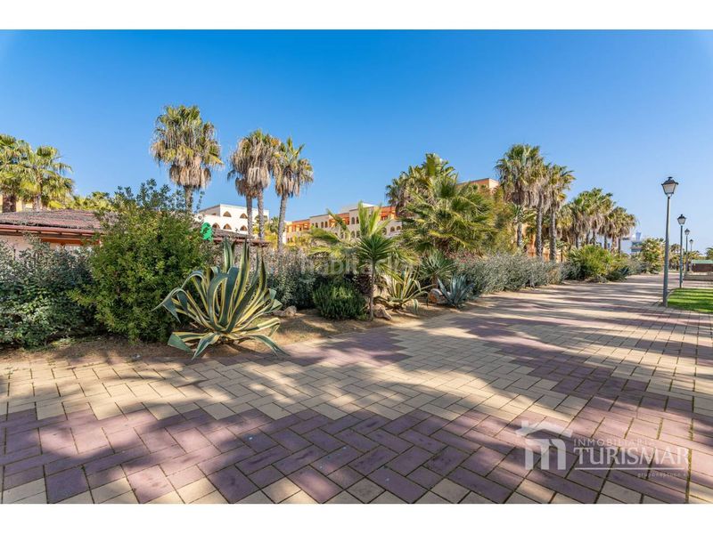Foto a13a6767-ed92-4ff2-b659-cc7dc73bdc06. Apartament a avenida mojarra 1 a Punta del Moral Ayamonte