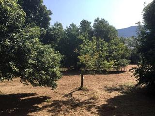 Terreno residencial en Marín