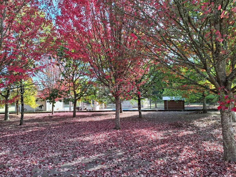 Foto 2604484d-7065-4ed8-802c-bc13e43e77f8. House with heating in Ventiun Ourense