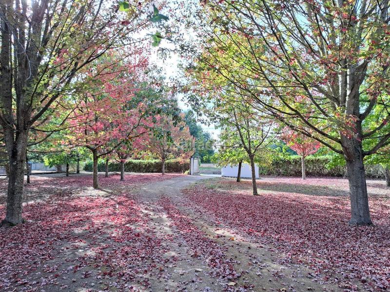 Foto 27566aa5-ebf6-4c90-a626-6a1bd5bea9de. House with heating in Ventiun Ourense