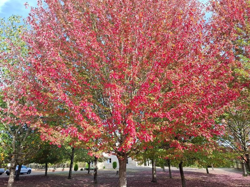 Foto 2e0540ff-7800-4ad0-8198-0f97d0b395df. House with heating in Ventiun Ourense