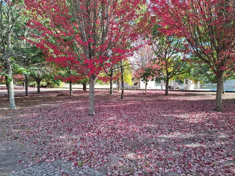 Foto d3c14f4d-27df-4731-a09a-56df4ccc8dba. House with heating in Ventiun Ourense