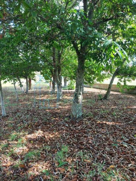 Foto 1001b23e-2446-4770-990b-056af38525e5. Casa in Amoeiro