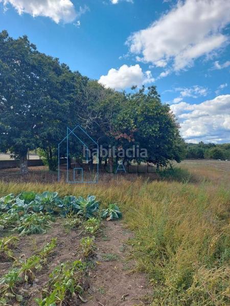 Foto 8aaa76eb-8455-4a41-b7d5-dc89ce9390a8. Casa in Amoeiro