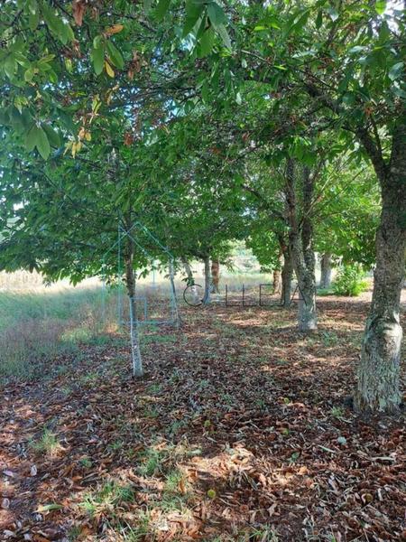 Foto c922efe6-35ed-466c-b078-97ea9670c674. Casa in Amoeiro