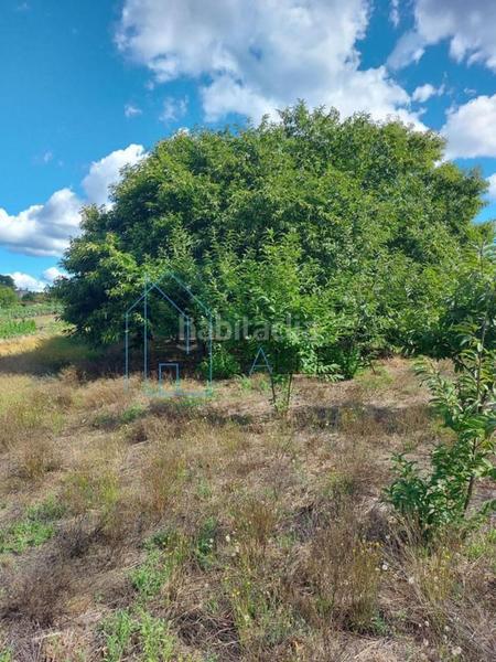 Foto d52cca42-f75d-4cb6-8b43-a3aa2035ebe5. Casa in Amoeiro