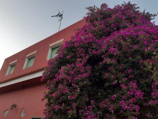Chalet à Valsequillo de Gran Canaria