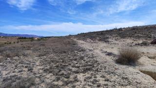 Finca rústica a N/a. Parcela rustica para edificar