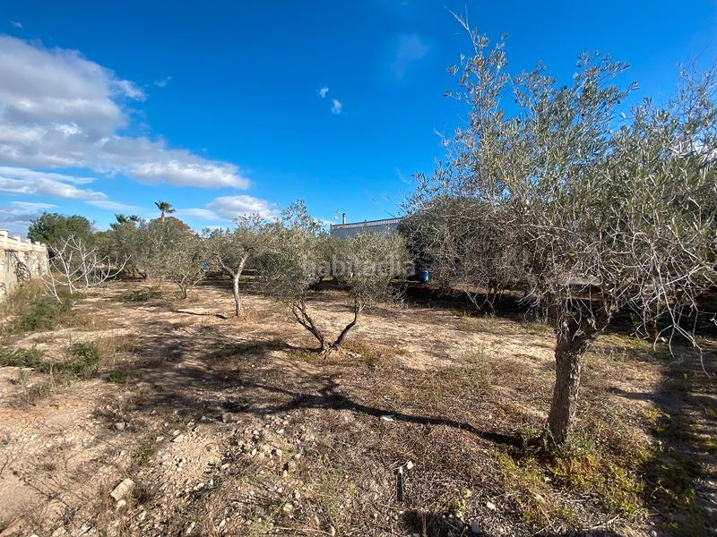 Foto 0a48f262-10b1-4327-8100-73b3e578f1ed. Xalet amb xemeneia a La Foia - Daimés - Asprella Elche / Elx