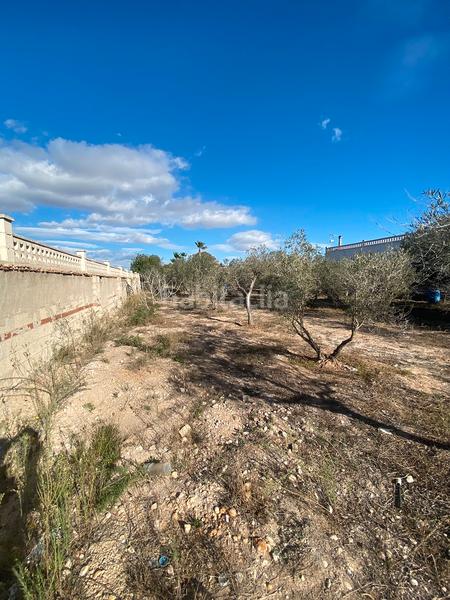 Foto 9b0d4ab4-74b3-4c39-b372-f805adad7238. Xalet amb xemeneia a La Foia - Daimés - Asprella Elche / Elx