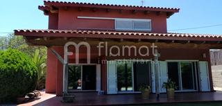 Casa  De plana novella. Casa o chalet independiente en venta en avenida de plana novella