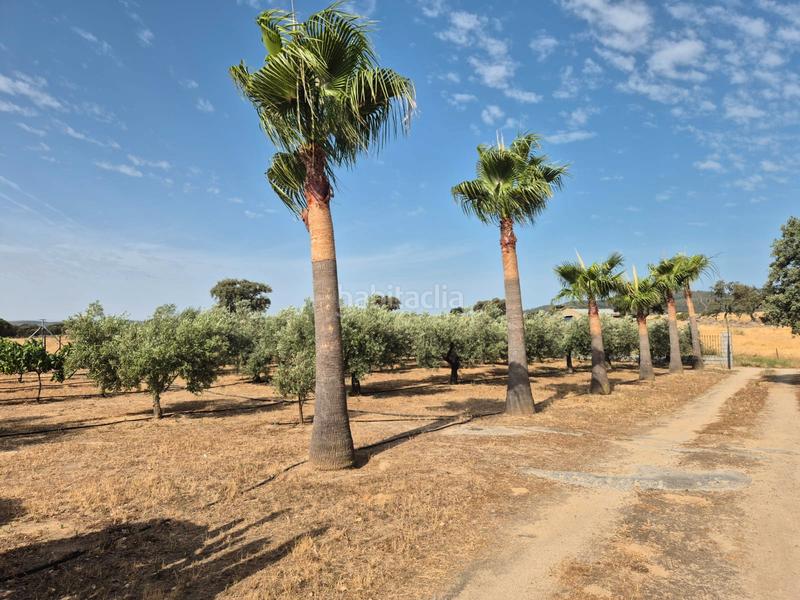 Foto 037f6973-913b-4276-bd90-39fad702b5b6. Chalet en calle san francisco 28 en Villanueva de la Serena