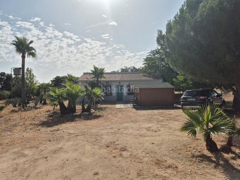 Foto 4b5fb57c-176f-486b-8f4f-207215f4c116. Chalet en calle san francisco 28 en Villanueva de la Serena