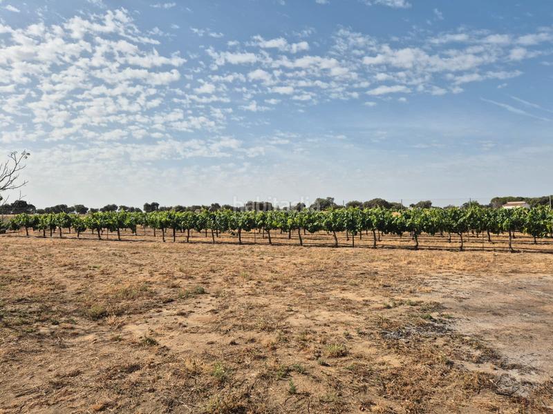 Foto 63fdfc62-816a-48a0-9793-874256f83c65. Chalet en calle san francisco 28 en Villanueva de la Serena