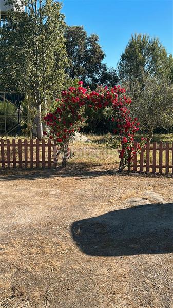 Foto 76ff3c68-5536-43c5-85b0-e646ec9b0c06. Chalet en calle san francisco 28 en Villanueva de la Serena