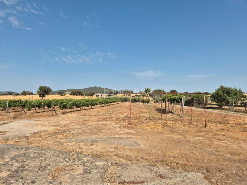 Foto a40ab5f6-d8c6-48c4-a208-64711e6ae211. Chalet en calle san francisco 28 en Villanueva de la Serena