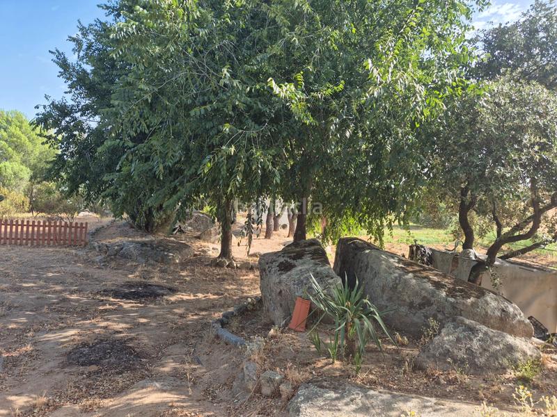 Foto beacbc2f-281f-4882-b2e7-c9e1a6029043. Chalet en calle san francisco 28 en Villanueva de la Serena