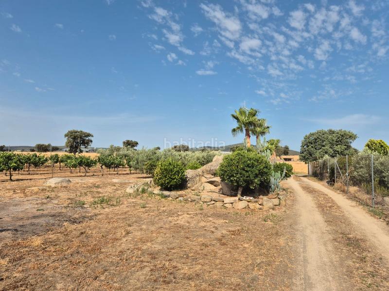 Foto c41e1f0d-4e41-4573-897c-564cf00abd9a. Chalet en calle san francisco 28 en Villanueva de la Serena