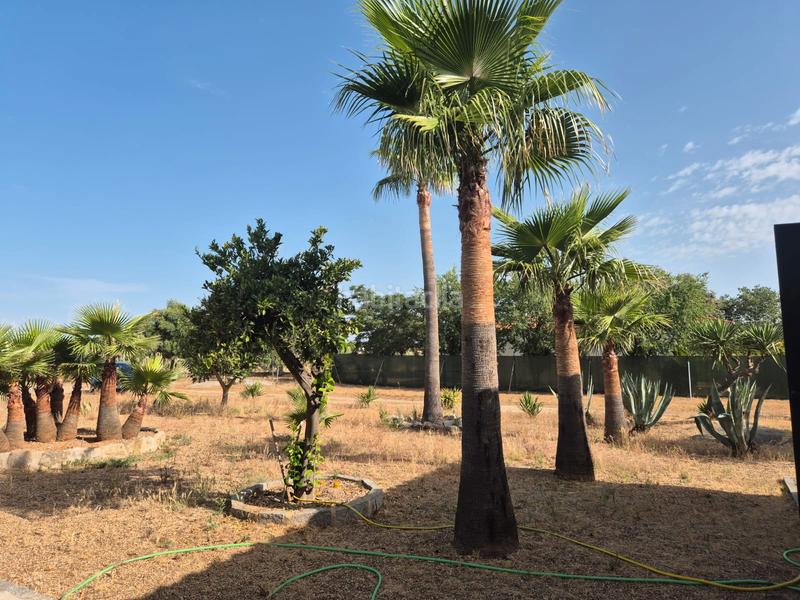 Foto f6633d09-9dff-49e5-9302-684b0be73d51. Chalet en calle san francisco 28 en Villanueva de la Serena