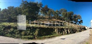 Terreny residencial a San Cibrao das Viñas. Solar piñeiral de licencia directa, para construir ya.