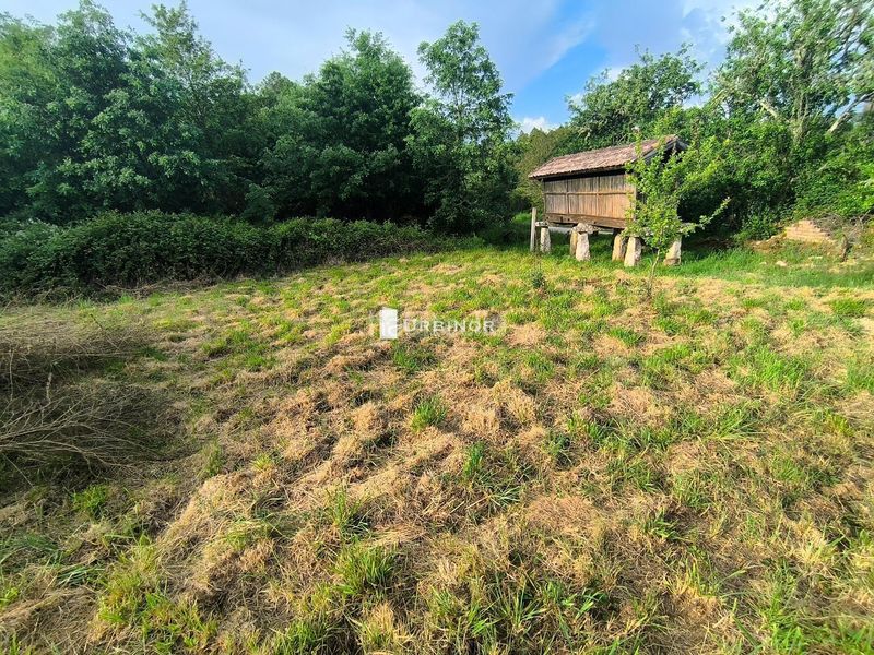 Foto c45e544b-5f57-4a05-a83e-1e806efd9709. Casa a Cartelle