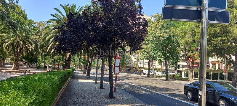 Foto a401576b-6043-4942-9693-63b3a5614020. Alquiler ático gran ático en alquiler en San José alto. terraza solarium de 90 m². en Zaragoza