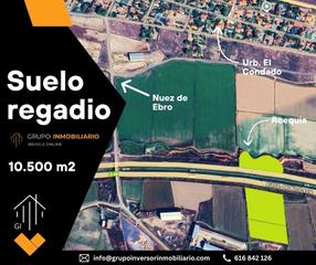 Finca rústica a Alfajarín. Suelo de regadío villafranca de ebro, nuez de ebro