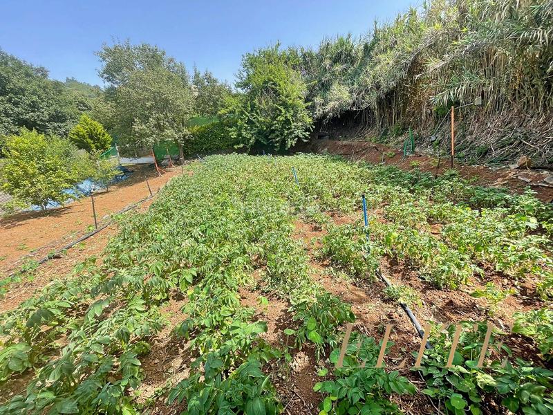 Foto 9f552179-b9a7-4e07-bb2b-8c920ed93ada. Chalet en calle verode 2 finca exclusiva en parque rural de doramas en Valleseco